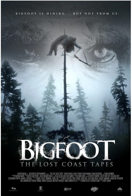 失落海岸的录像带