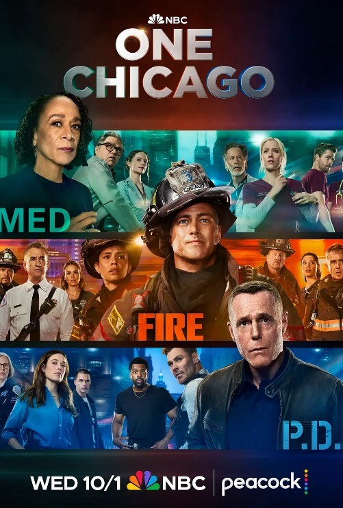 芝加哥警署 第十三季