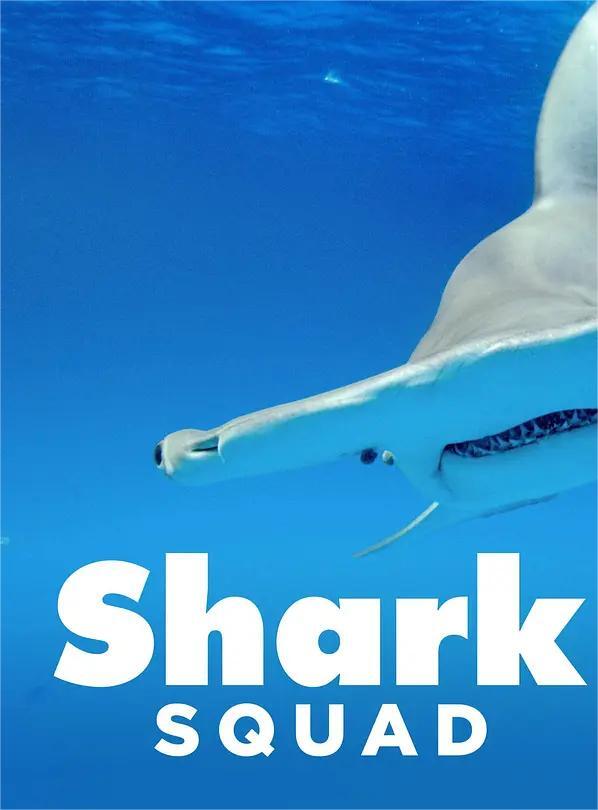 鲨鱼小队 第一季