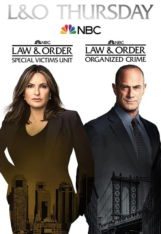 法律与秩序：特殊受害者 第二十三季